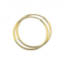 HUISCOLLECTIE 4001313 GOUDEN CREOLEN 32X1.5 MM.