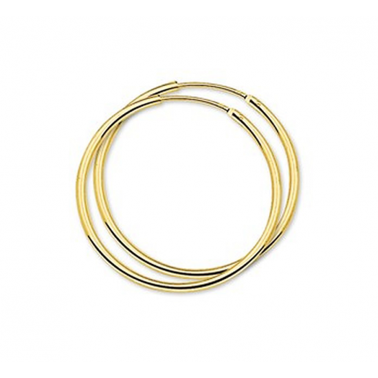 HUISCOLLECTIE 4001313 GOUDEN CREOLEN 32X1.5 MM.