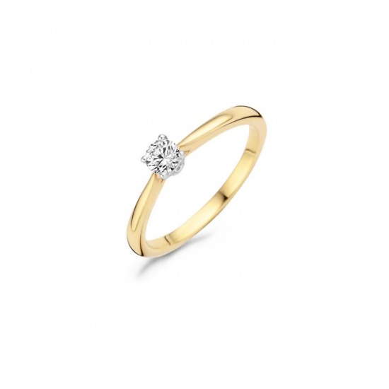 BLUSH 1187BZI GOUDEN RING BICOLOR MET ZIRKONIA