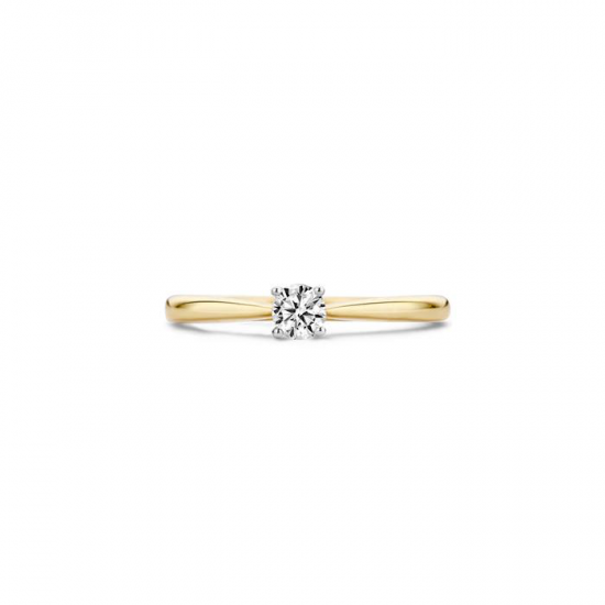 BLUSH 1187BZI GOUDEN RING BICOLOR MET ZIRKONIA