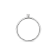 BLUSH 1200WZI WITGOUDEN RING ZIRKONIA BLUSH 1200WZI WITGOUDEN RING ZIRKONIA