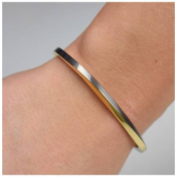 BOCCIA 03011-02 TITANIUM ARMBAND BICOLOR MET SCHARNIER