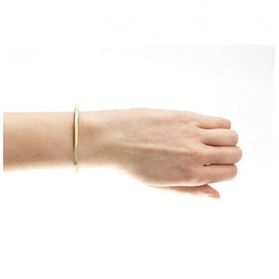 BOCCIA 03011-02 TITANIUM ARMBAND BICOLOR MET SCHARNIER