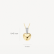 BLUSH 6077BZI BICOLOR GOUDEN HANGER ZIRKONIA BLUSH 6077BZI BICOLOR GOUDEN HANGER ZIRKONIA