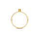 BLUSH 1204YCI GEELGOUDEN RING MET CITRIEN