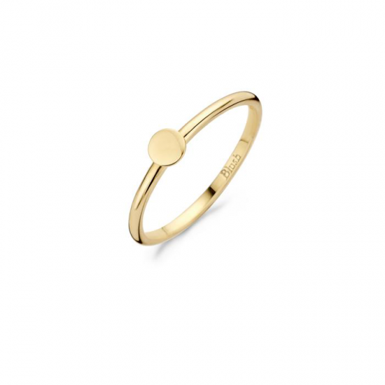 BLUSH 1212YGO GEELGOUDEN RING MET PLAATJE