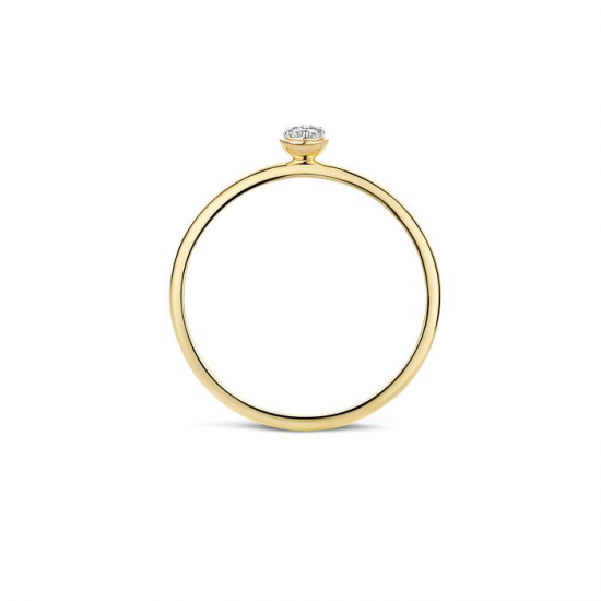 BLUSH 1199YZI GEELGOUDEN RING ZIRKONIA