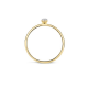 BLUSH 1199YZI GEELGOUDEN RING ZIRKONIA