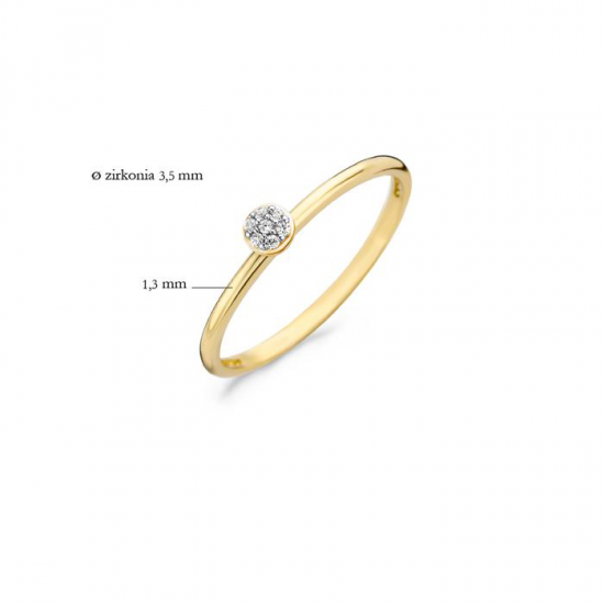 BLUSH 1199YZI GEELGOUDEN RING ZIRKONIA