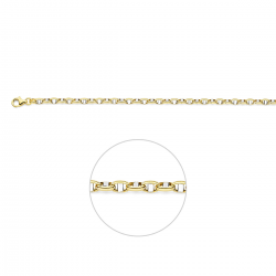 THE HOUSE OF JEWELS 4207627 BICOLOR GOUDEN COLLIER ANKER FANTASIE