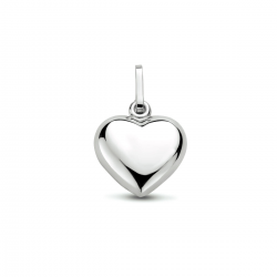 HUISCOLLECTIE 1004881 ZILVEREN HANGER HART BOL 10MM