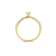 BLUSH 1132YZI GEELGOUDEN RING MET ZIRKONIA