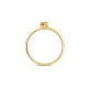 BLUSH 1193YGO GEELGOUDEN RING KNOOPJE