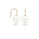 BLUSH 7049YPW GEELGOUDEN OORHANGERS SWAROVSKI PAREL BLUSH 7049YPW GEELGOUDEN OORHANGERS SWAROVSKI PAREL