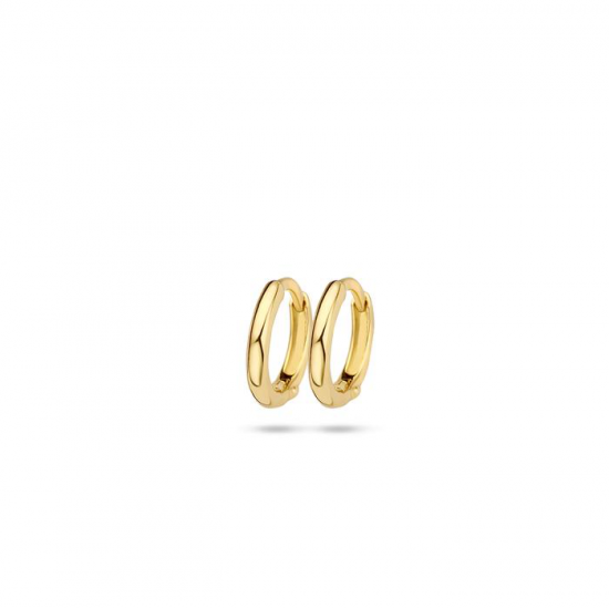 BLUSH 7221YGO GEELGOUDEN OORRINGEN BLUSH 7221YGO GEELGOUDEN OORRINGEN