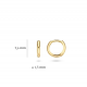 BLUSH 7221YGO GEELGOUDEN OORRINGEN BLUSH 7221YGO GEELGOUDEN OORRINGEN