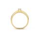 BLUSH 1145BZI GEELGOUDEN RING MET ZIRKONIA