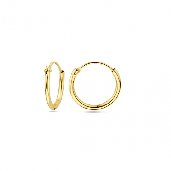 HUISCOLLECTIE 4001309 GOUDEN OORRINGEN 13MM.