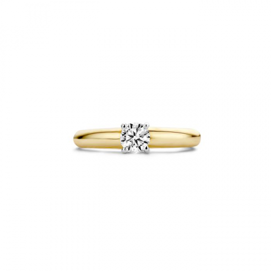 BLUSH 1129BZI BICOLOR GOUDEN RING MET ZIRKONIA BLUSH 1129BZI BICOLOR GOUDEN RING MET ZIRKONIA