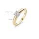BLUSH 1129BZI BICOLOR GOUDEN RING MET ZIRKONIA BLUSH 1129BZI BICOLOR GOUDEN RING MET ZIRKONIA