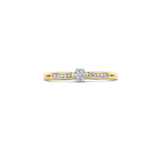 BLUSH 1625BDI GEELGOUDEN RING MET DIAMANT