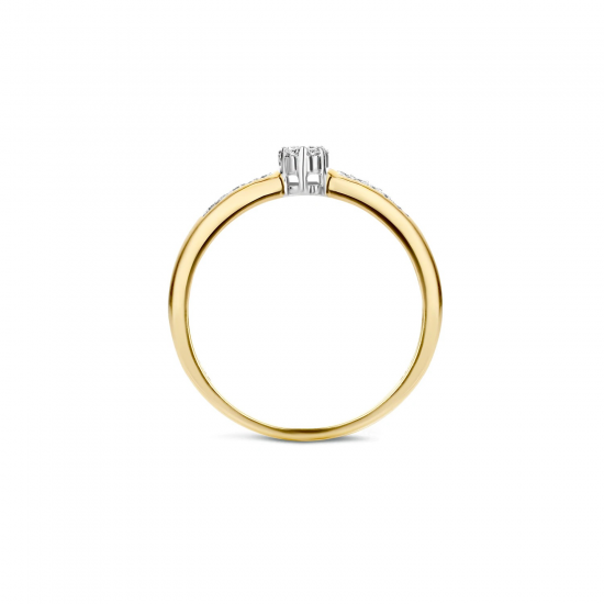 BLUSH 1625BDI GEELGOUDEN RING MET DIAMANT