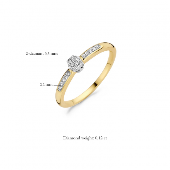 BLUSH 1625BDI GEELGOUDEN RING MET DIAMANT