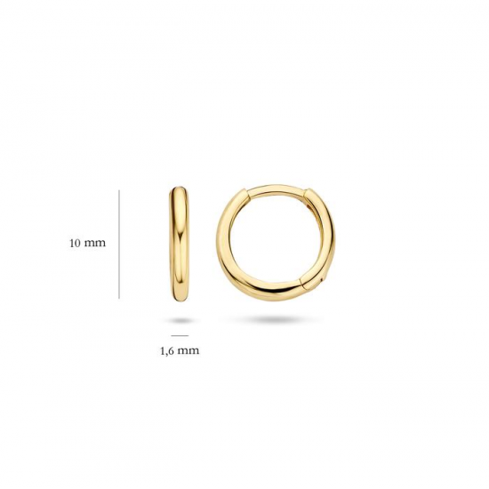 BLUSH 7232YGO GEELGOUDEN OORRINGEN BLUSH 7232YGO GEELGOUDEN OORRINGEN
