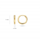 BLUSH 7232YGO GEELGOUDEN OORRINGEN BLUSH 7232YGO GEELGOUDEN OORRINGEN