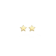 BLUSH 7247YGO GOUDEN OORKNOPPEN STERRETJE