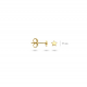 BLUSH 7247YGO GOUDEN OORKNOPPEN STERRETJE