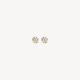 BLUSH 7256YZI GOUDEN OORKNOPPEN ZIRKONIA BLUSH 7256YZI GOUDEN OORKNOPPEN ZIRKONIA