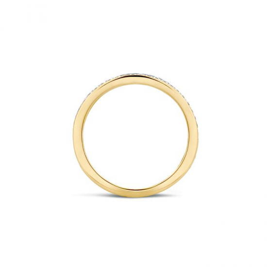 BLUSH 1119BZI BICOLOR GOUDEN RING ZIRKONIA