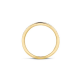 BLUSH 1119BZI BICOLOR GOUDEN RING ZIRKONIA