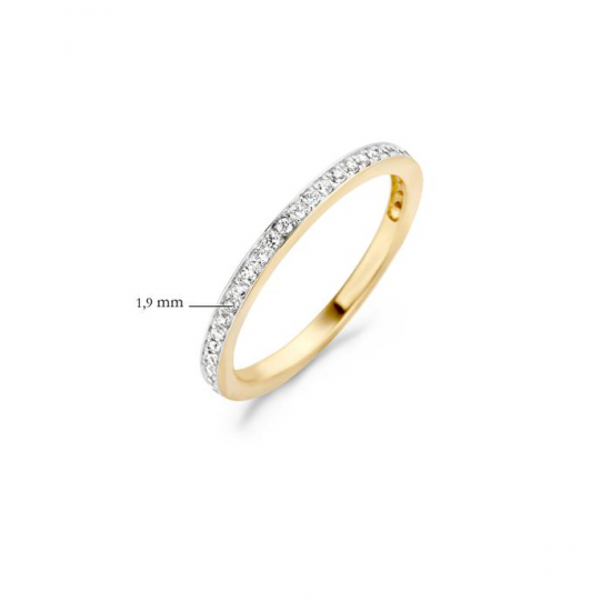 BLUSH 1119BZI BICOLOR GOUDEN RING ZIRKONIA