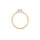 BLUSH 1611BDI GEELGOUDEN RING DIAMANT 0.15CT.