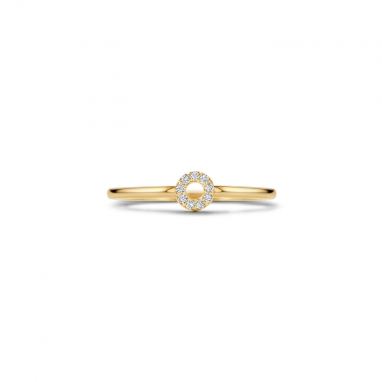 BLUSH 1217YZI GEELGOUDEN RING MET ZIRKONIA