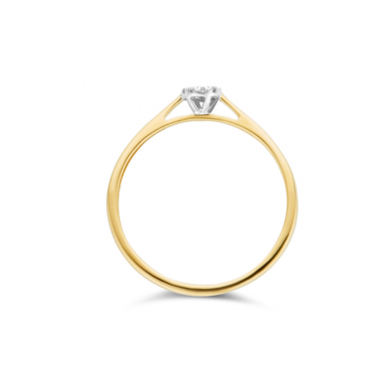 BLUSH 1646BDI BICOLOR GOUDEN RING MET DIAMANT