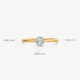 BLUSH 1647BDI BICOLOR GOUDEN RING MET DIAMANT