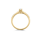 BLUSH 1659BDI GOUDEN RING MET DIAMANT