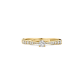 BLUSH 1659BDI GOUDEN RING MET DIAMANT