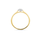 BLUSH 1648BDI BICOLOR GOUDEN RING MET DIAMANT