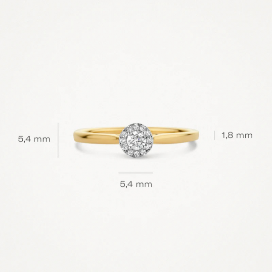 BLUSH 1648BDI BICOLOR GOUDEN RING MET DIAMANT