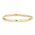 BLUSH 2155YGO GEELGOUDEN BANGLE MET SCHARNIERSLUITING