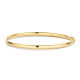 BLUSH 2155YGO GEELGOUDEN BANGLE MET SCHARNIERSLUITING