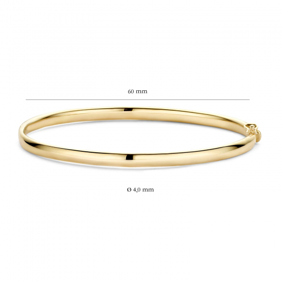 BLUSH 2155YGO GEELGOUDEN BANGLE MET SCHARNIERSLUITING