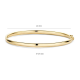 BLUSH 2155YGO GEELGOUDEN BANGLE MET SCHARNIERSLUITING