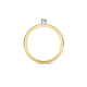 BLUSH 1602BDI BICOLOR GOUDEN RING DIAMANT 0.10CT