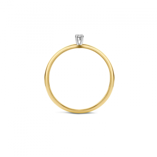 BLUSH 1600BDI BICOLOR GOUDEN RING MET DIAMANT