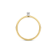 BLUSH 1600BDI BICOLOR GOUDEN RING MET DIAMANT